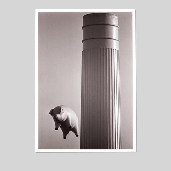 Pink Floyd- Flying Pig Poster Size 24''x36'' Goldengate