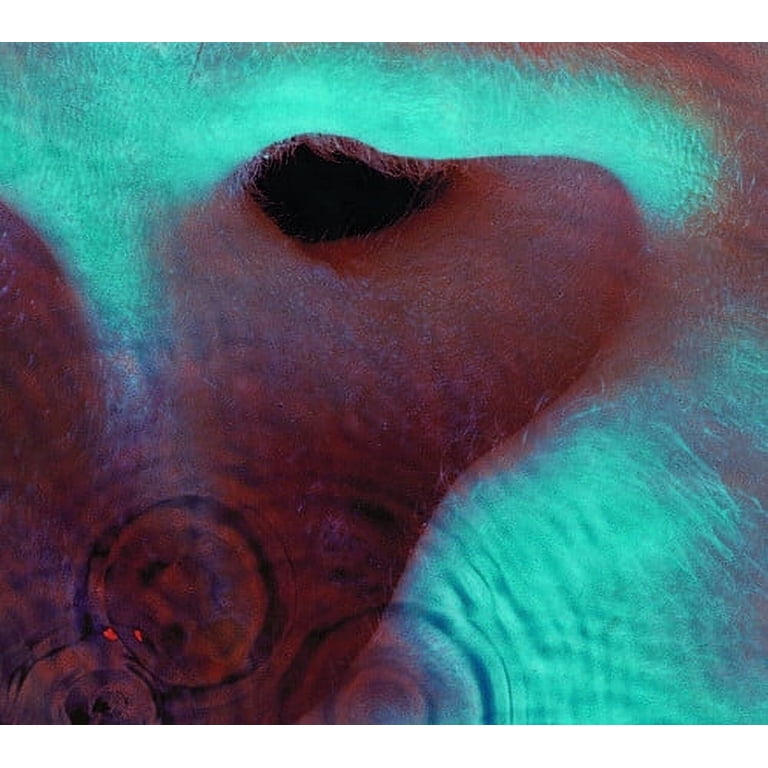 Pink Floyd - Meddle - Music & Performance - CD - Walmart.com