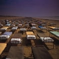 thumbnail image 1 of Pink Floyd - Momentary Lapse Of Reason - Music & Performance - CD, 1 of 1