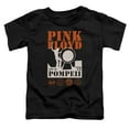 thumbnail image 1 of Pink Floyd - Pompeii - Toddler Short Sleeve Shirt - 2T, 1 of 2