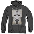 thumbnail image 1 of Pink Floyd The Division Bell Adult Heather Hoodie Sweatshirt Black, 1 of 1