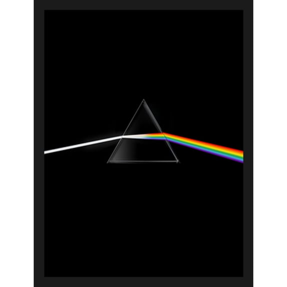 Pre-Owned Pink Floyd: Their Mortal Remains, 9781851779161, 1851779167, Hardcover, Illustrated edition
