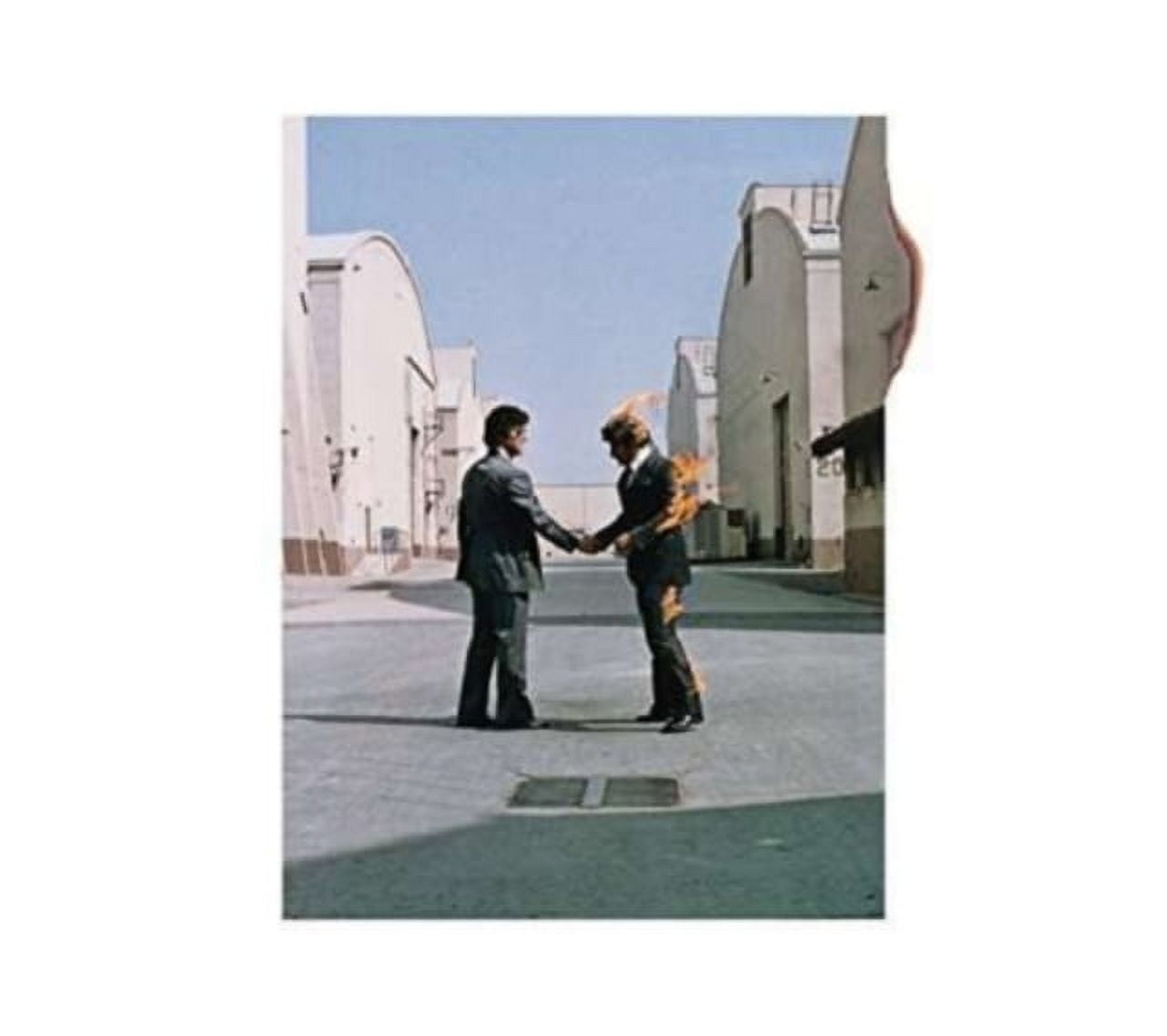 Pink Floyd - Wish You Were Here - Music & Performance - CD