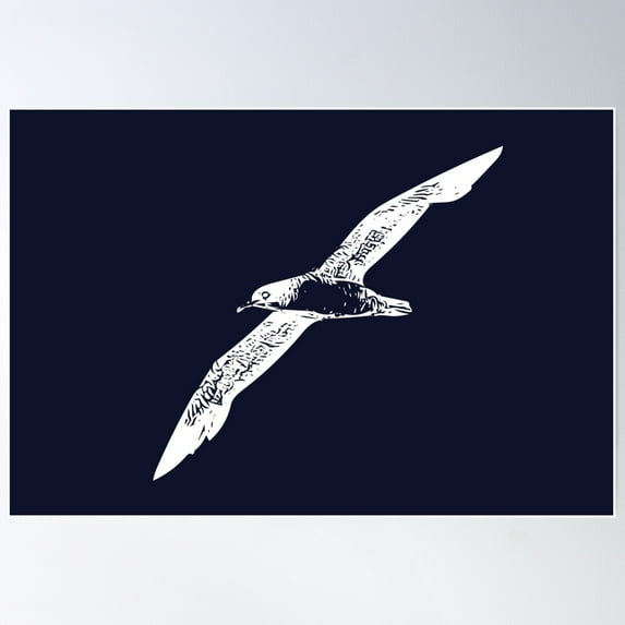 Pink-Footed Shearwater White Design Poster Wall Art, Modern Wall Decor For Living Room Bedroom, 16x24 UNFRAMED