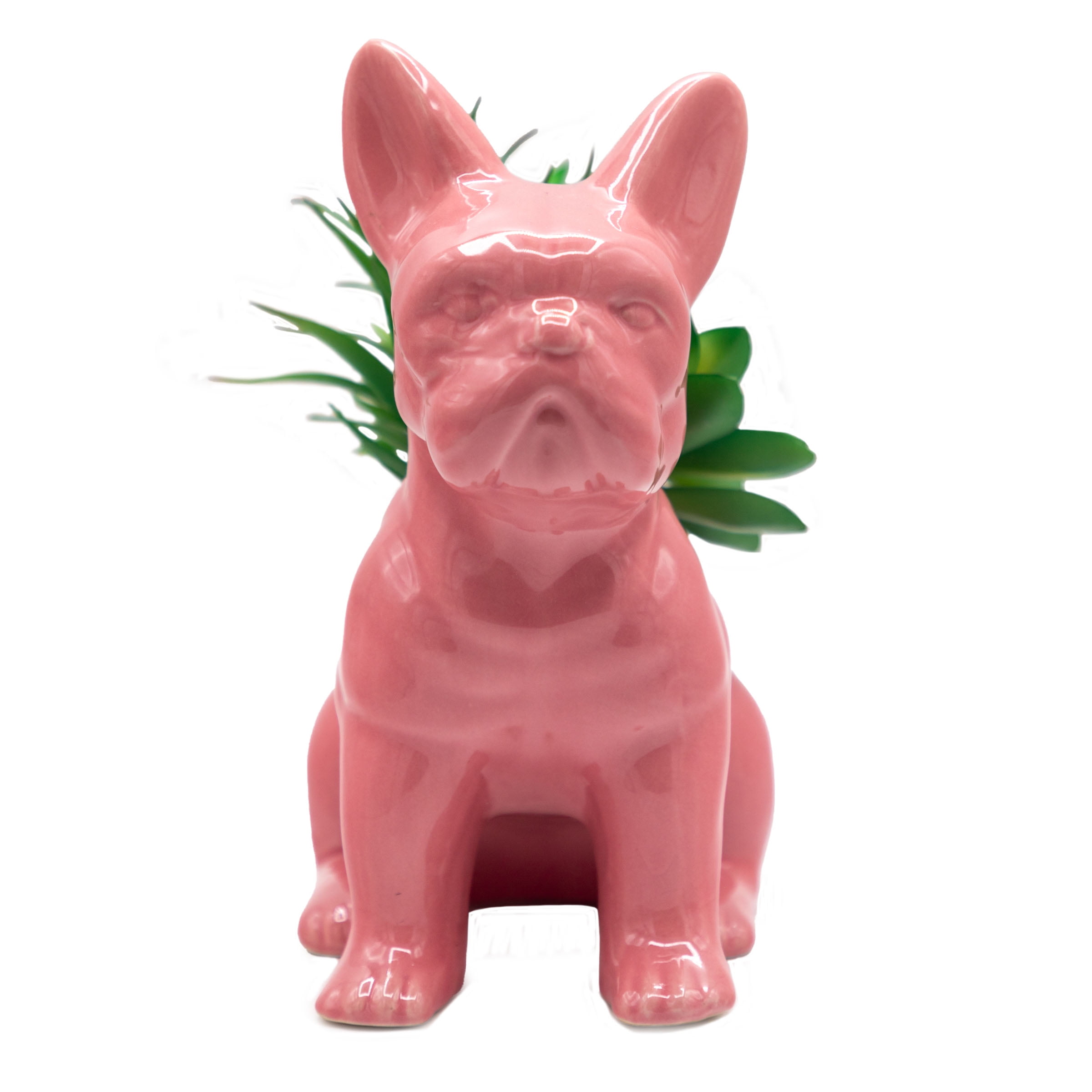 Pink French Bulldog Vase with Decorative Greens