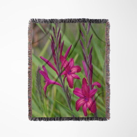 Pink Gladiolus, Woven Blanket