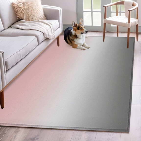 Pink Gray Area Rugs 4x6 ft Gradient Washable Rug Non Slip Indoor Carpet Absorbent Floor Mat for Living Room Bedroom Dining Room