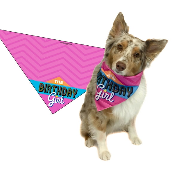 Pink Happy Birthday Bandana-Female Dog or Puppy-Perfect Canine Gift (MED to LRG)