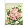 thumbnail image 1 of Pink Hibiscus Flowers - Hawai’i - Vintage Hawaiian Airbrush Art by Ted Mundorff c.1940s - Bamboo Fine Art 290gsm Paper Print (Unframed) 24x32in, 1 of 4