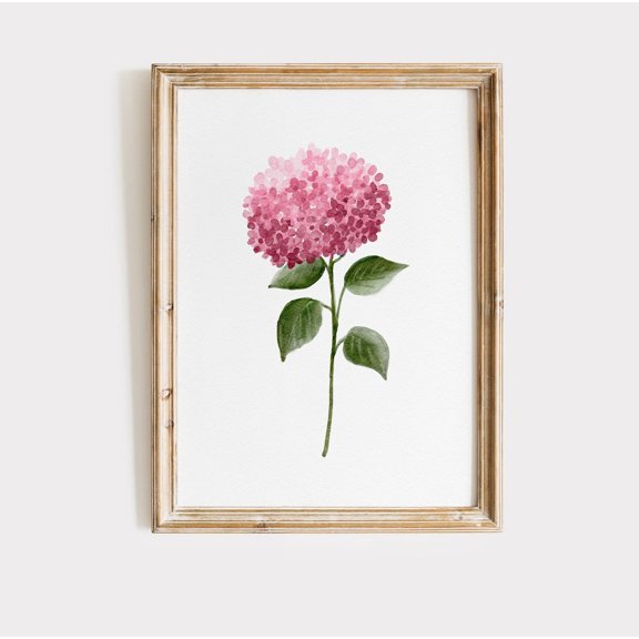 Pink Hydrangea Minimalist Big Flower Art Modern Home Hydrangea Botanical Illustration Hamptons Decor