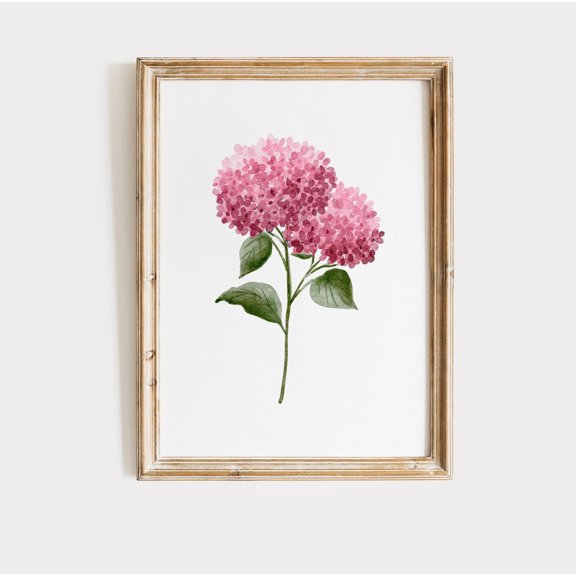 Pink Hydrangea Minimalist Wall Art Big Flower Modern Home Botanical Illustration Hamptons Decor Style 1050
