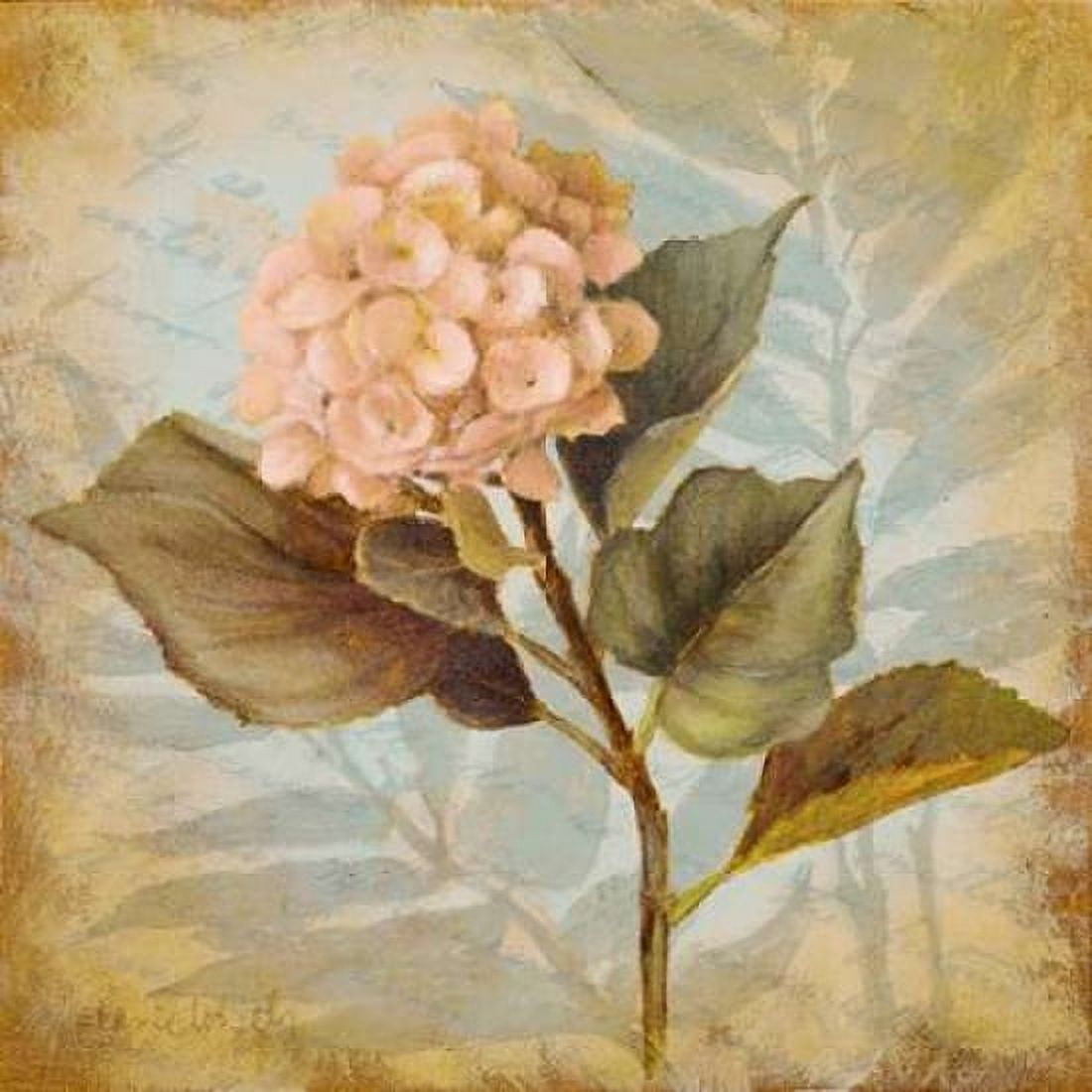 Pink Hydrangea Portrait Canvas Art - Lanie Loreth (24 x 24)