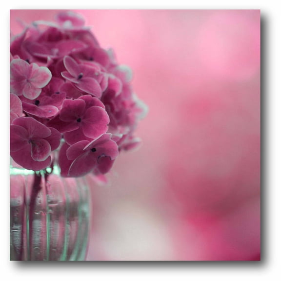 Pink Hydrangeas Gallery-Wrapped Canvas Wall Art, 16x16