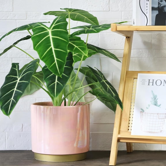 Gepege Pink Indoor Plant Pots for Plants, Large Ceramic Planter with Drainage Hole, 9.6-inch Succulent Orchid Flower Pot - Rainbow  Glaze