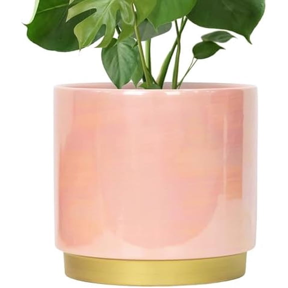 Pink Indoor Plant Pots for Plants, Large Ceramic Planter with Drainage Hole, 9.6-inch Succulent Orchid Flower Pot - Rainbow Pearl Glaze
