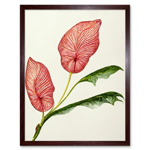 Pink Laceleaf Tropical Leaf Anthurium Botanical Art Print Framed Poster Wall Decor 12x16 inch