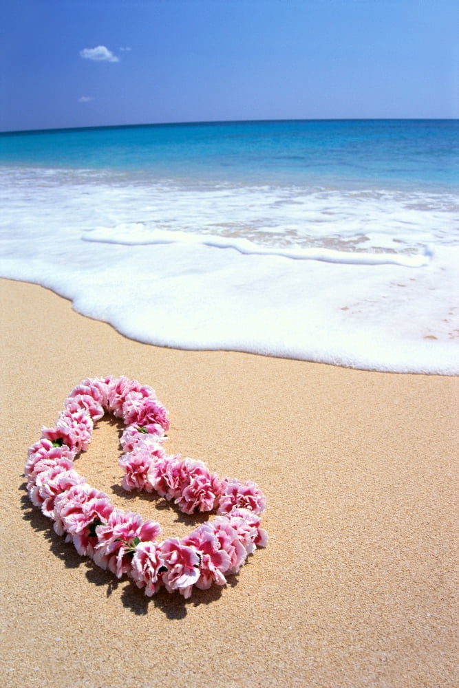 Pink Lei In Sand Gentle Shore Waters White Foam Blue Ocean C1735 Canvas Art - Bill Brennan Design Pics (24 x 38)