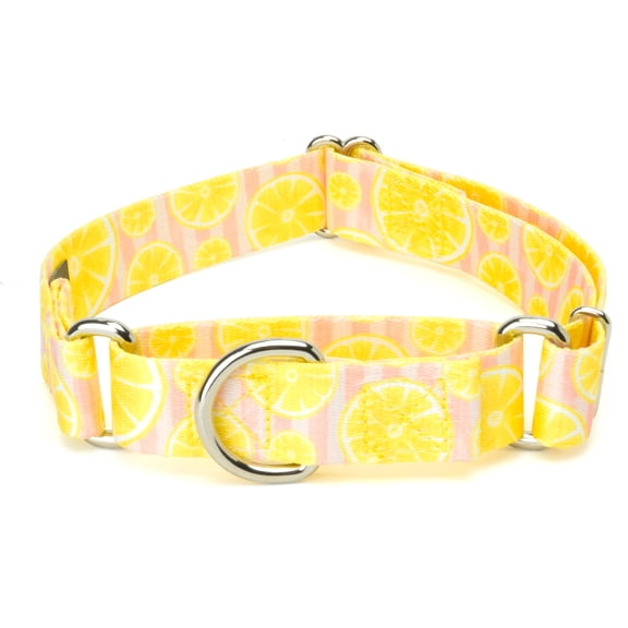 Country Brook Petz® Pink Lemonade Martingale Dog Collar, Small