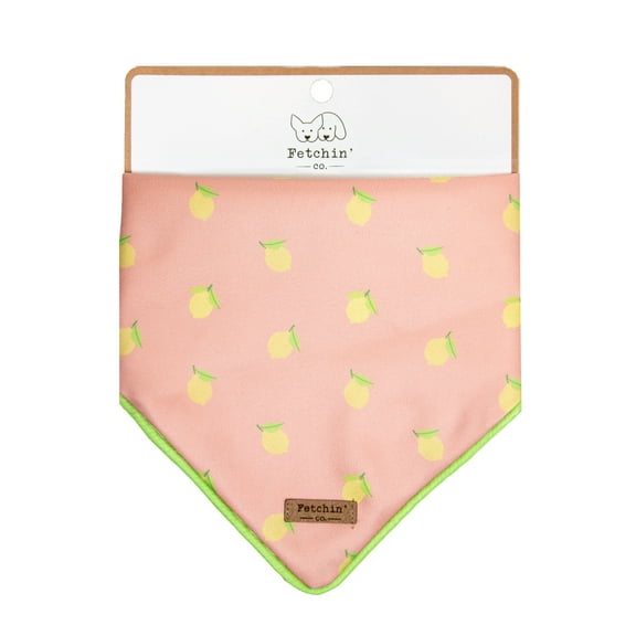 Pink Lemonade Printed Fun Small Dog Bandana by Fetchin' Co