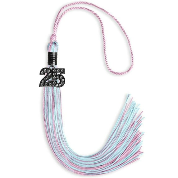 Endea Graduation Pink/Light Blue Mixed Color Graduation Tassel with Black Date Drop