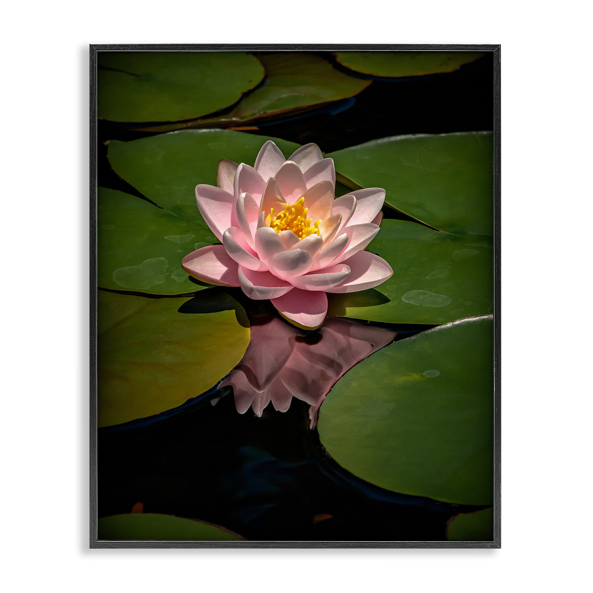 Pink Lotus Among Lily Pads Black Framed Giclee Art, design by Phillip Flowers