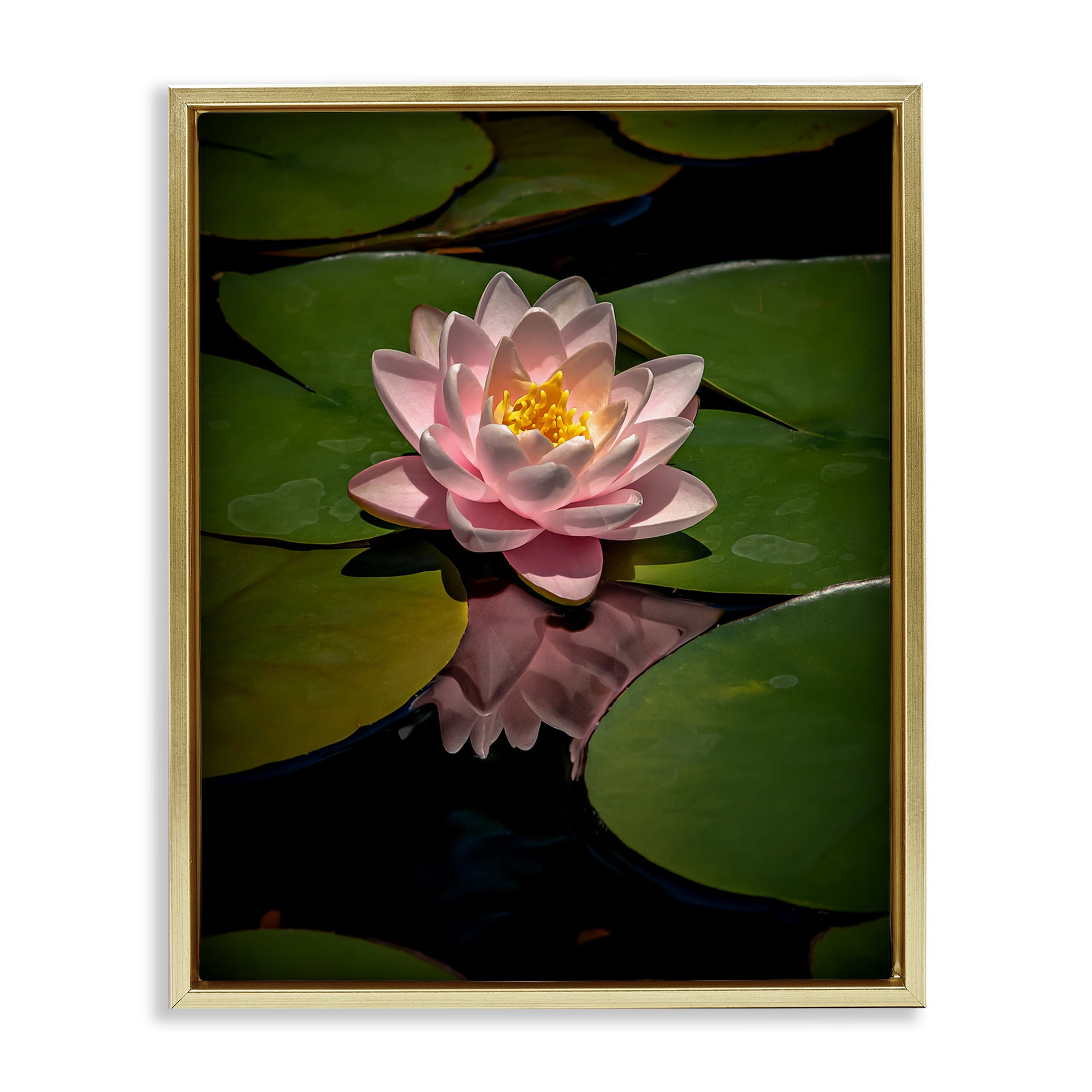 Pink Lotus Among Lily Pads Gold Framed Floater Canvas Wall Art, design by Phillip Flowers