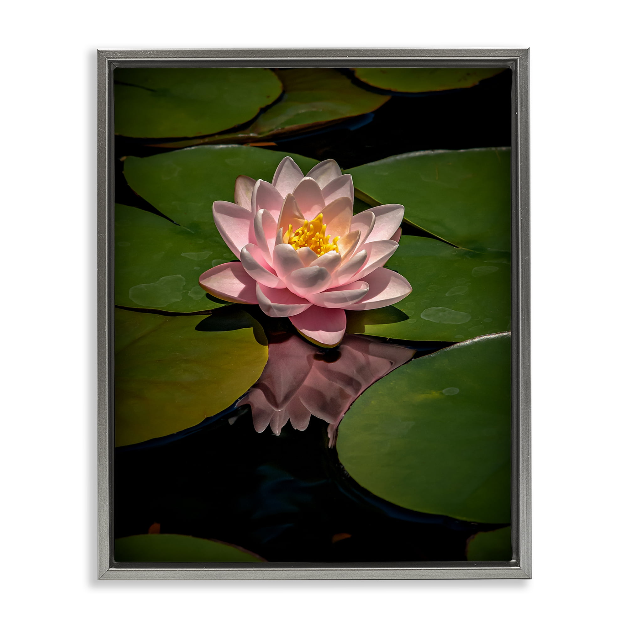 Pink Lotus Among Lily Pads Gray Framed Floater Canvas Wall Art, design by Phillip Flowers