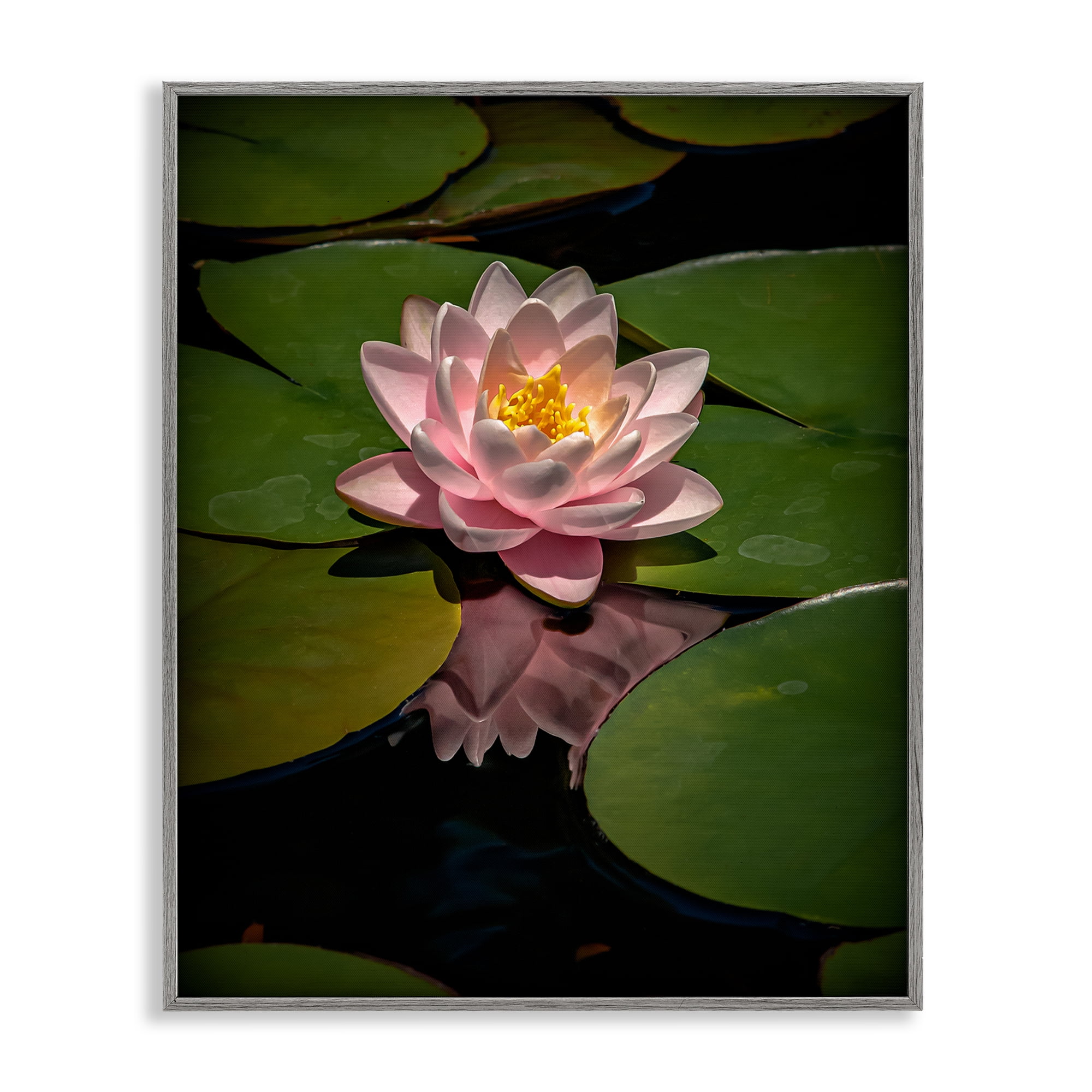 Pink Lotus Among Lily Pads Gray Framed Giclee Art, design by Phillip Flowers