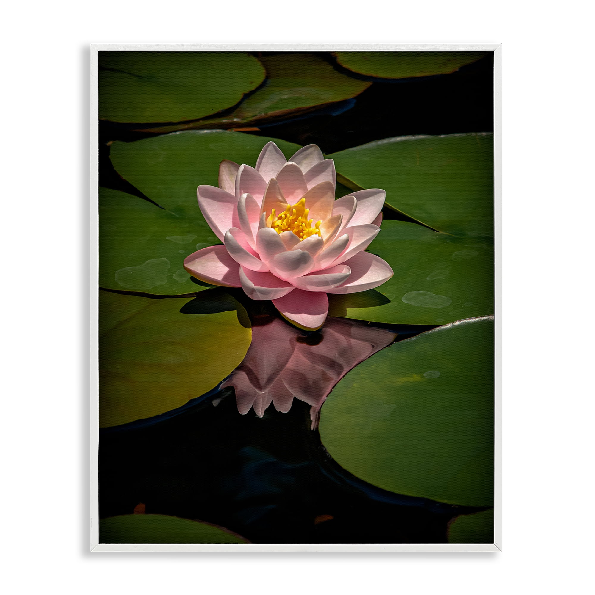 Pink Lotus Among Lily Pads White Framed Giclee Art, design by Phillip Flowers
