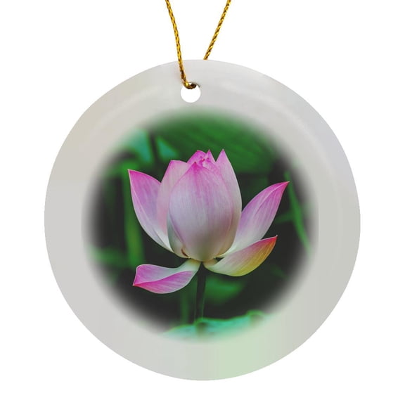3drose, Pink Lotus Blooming in Lotus Pond, Temple of the Sun, Beijing, China, Circle Porcelain Ornament