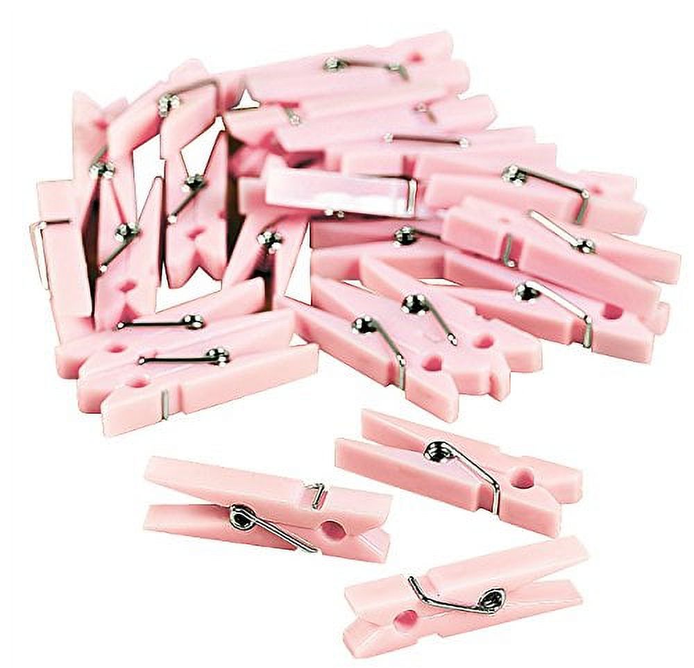 Pink Mini Clothes Pins Party Favor(48Pc) - Party Supplies - 48 Pieces
