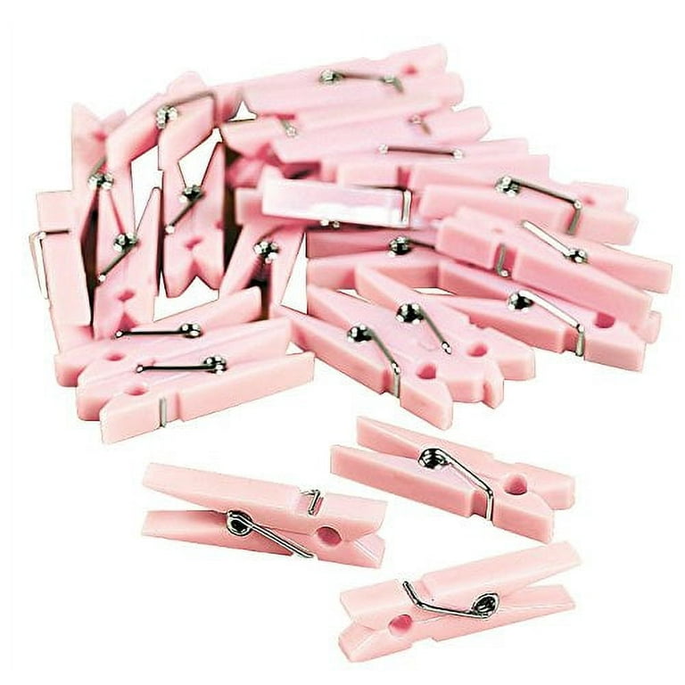 Pink Mini Clothes Pins Party Favor(48Pc) - Party Supplies - 48 Pieces