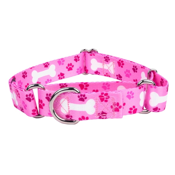 Country Brook Petz® Pink Oh My Dog Martingale Dog Collar, Small