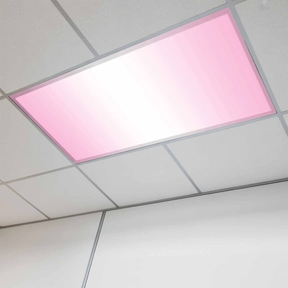 Pink Ombre Magnetic Fluorescent Light Covers for Ceiling Lights 2x4Ft, Pink White Gradient Modern Abstract Art Office Classroom Kitchen Drop Ceiling Light Covers Lighting Filters Shade Panel 1 Pack