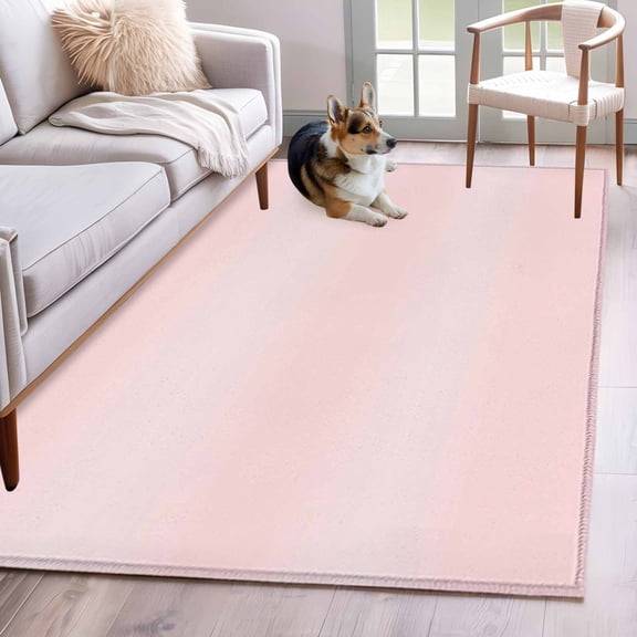 Pink Ombre Washable Area Rug 4x6 Modern Gradient Solid Color Abstract Rustic Low-Profile Large Area Rugs with Non Slip Backing Indoor Floor Carpet for Entrance Living Room Bedroom Home Office