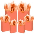thumbnail image 1 of Pink-Orange Gift Bags with Tissue Paper Mulit Assorted Sizes 10PCS Present Birthday Bags(2pcs Large 13", 4pcs Medium 9", 4pcs Small 6"，22pcs Tissue Paper), 1 of 13
