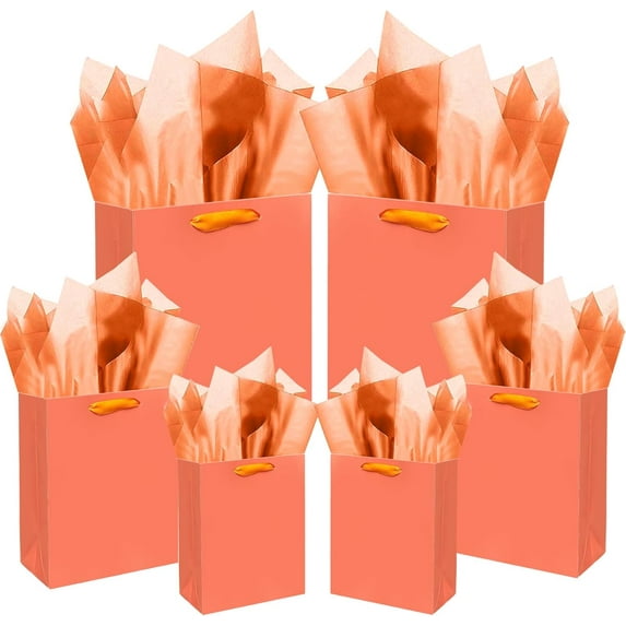 Pink-Orange Gift Bags with Tissue Paper Mulit Assorted Sizes 10PCS Present Birthday Bags(2pcs Large 13", 4pcs Medium 9", 4pcs Small 6",22pcs Tissue Paper)