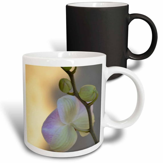 3drose, Pink Orchid Expression- Flowers- Photography, 11oz Magic Transforming Mug