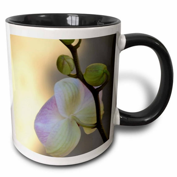 3drose, Pink Orchid Expression- Flowers- Photography, 11oz Two-tone Black Mug