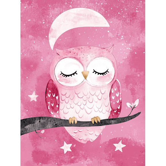 Pink Owl Watercolor Canvas Print Suitable for Bedroom Decor Living Room Decor Nursery Decor Girl's Room Decor and Office Decor.