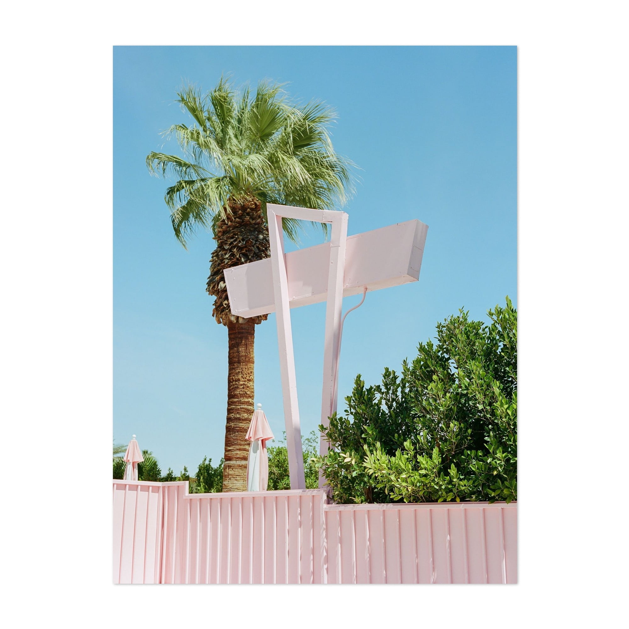 Pink Palm Springs III - Palm Springs California Photography Palm Tree ...