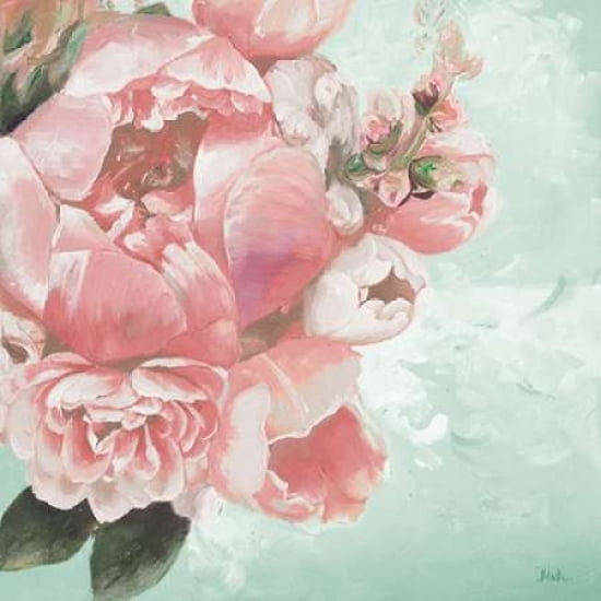 Pink Peonies I Canvas Art - Patricia Pinto (24 x 24)