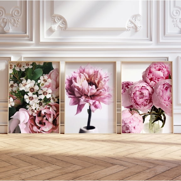 Pink Peonies Pink Flowers Gallery Wall Floral Botanical Set 3 Stretched Canvas 16x24