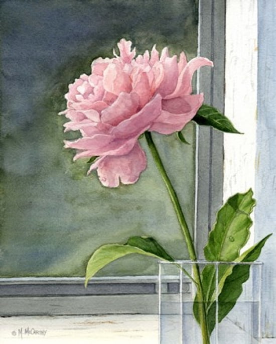 Pink Peony Canvas Art - Maureen Mccarthy (16 x 20)