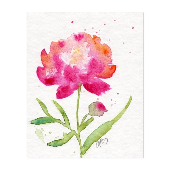 Pink Peony - Painting Watercolor Floral Flowers Botanical Garden Illustration Nature Unframed Wall Art Print 4 x 6 inches