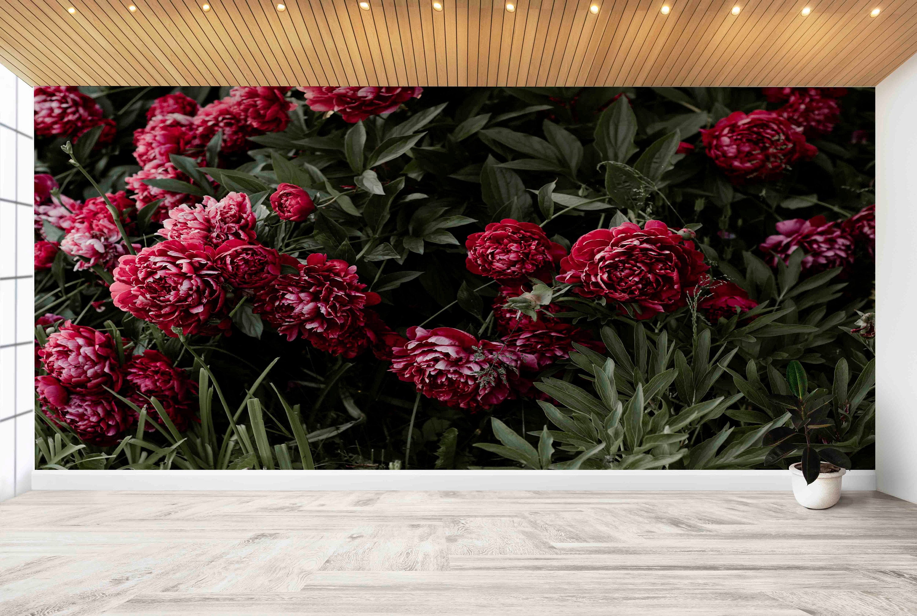 Pink Peony Wallpaper, Wallpaper Wall Art, Modern Wallpaper, 3d ...