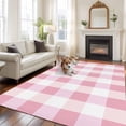 thumbnail image 1 of Pink Plaid Area Rug 5x7 FT, Non Slip Bedroom Throw Carpet, Spring Farmhouse Buffalo Checkered Washable Soft Floor Carpet Non-Shedding Rug for Dining Room Bedside Classroom Desk, 1 of 9
