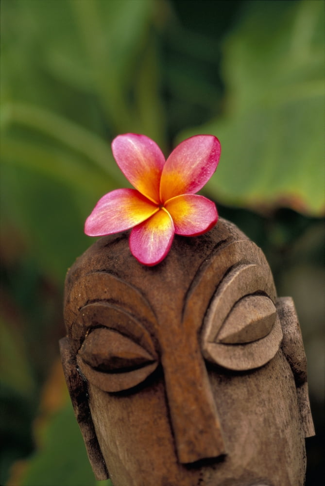 Pink Plumeria Flower Atop Wooden Polynesian Statue Carving Outdoor Canvas Art - Dana Edmunds Design Pics (12 x 19)