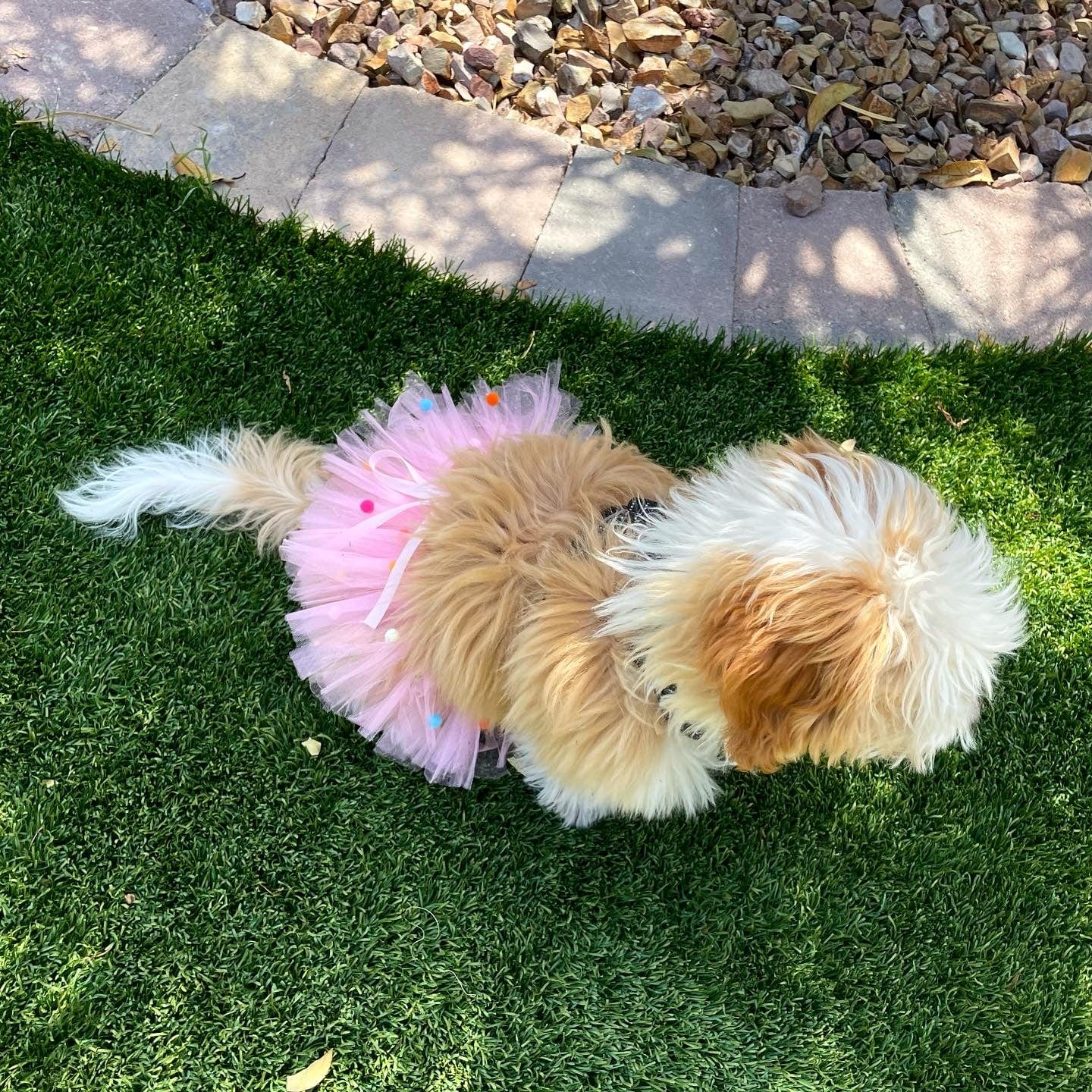 Pink Pom Pom Dog Tutu Skirt | XS-XXXL