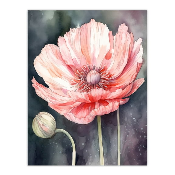 Pink Poppy Flower Pastel Watercolour Painting Spring Bud And Bloom Close-Up Nature Colourful Bright Floral Modern Artwork Extra Large XL Wall Art Poster Print